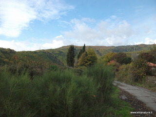 rderia-18-11-2012 12-23-03